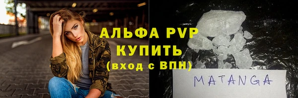 индика Переславль-Залесский