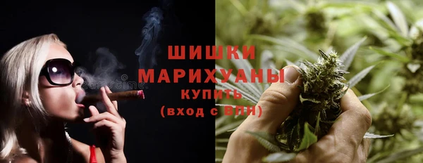 индика Переславль-Залесский
