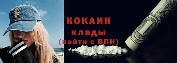 индика Переславль-Залесский