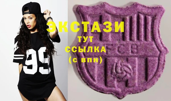 индика Переславль-Залесский