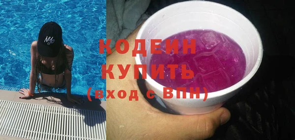 индика Переславль-Залесский