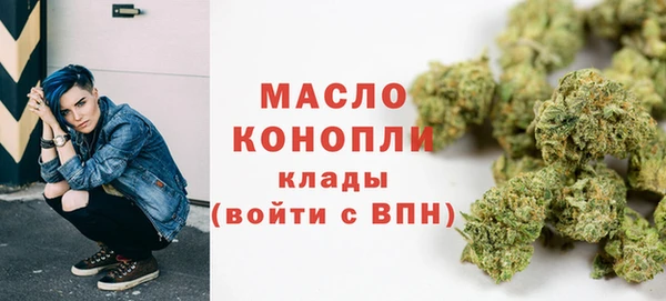 индика Переславль-Залесский