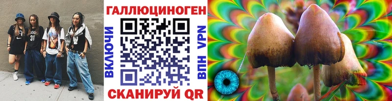 продажа наркотиков  кракен онион  Псилоцибиновые грибы Psilocybe  Спасск-Рязанский 